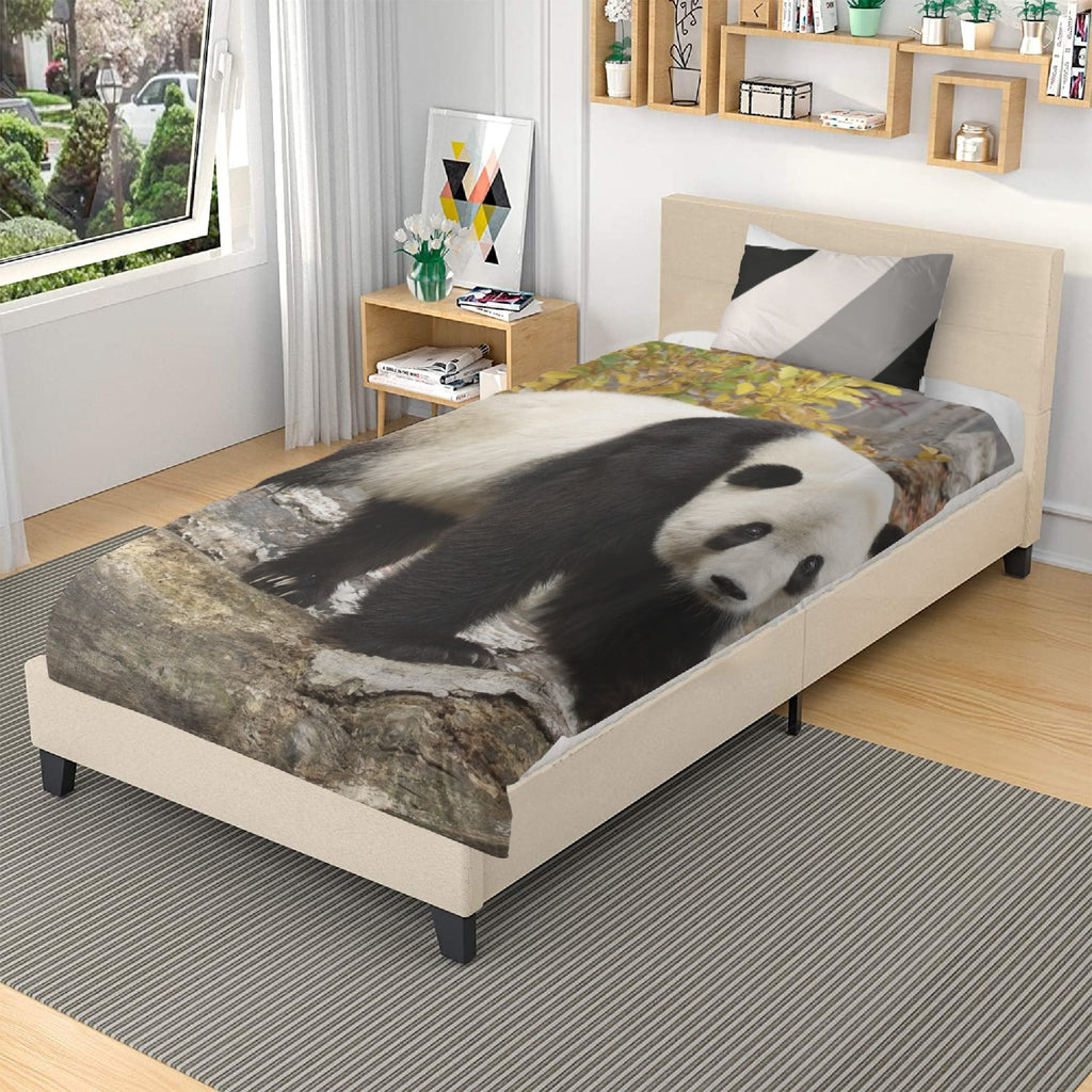 Giant Panda Animal Lover Collection Room Décor 3in1 Polyester Bedding Set
