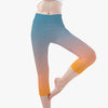 Summer Faze Short Type Yoga Pants