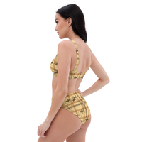 Wild Horses Designer high-waisted bikini Bathing Suit Swimwear.