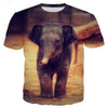 Unisex Wild Animal Designer Fashion Streetwear Tee Shirts